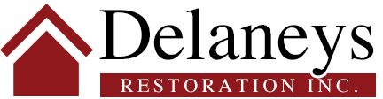 Delaney's logo